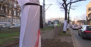 Ekolodzy sprzeciwiają się wycięciu drzew pod buspasy w centrum Szczecina