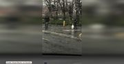 Policjanci odprowadzają łabędzia do domu