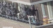 Siedmiu terrorystów zatrzymano w Holandii. Mieli przygotowywać zamach bombowy