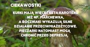 O czym należy pamiętam idąc na grzyby?