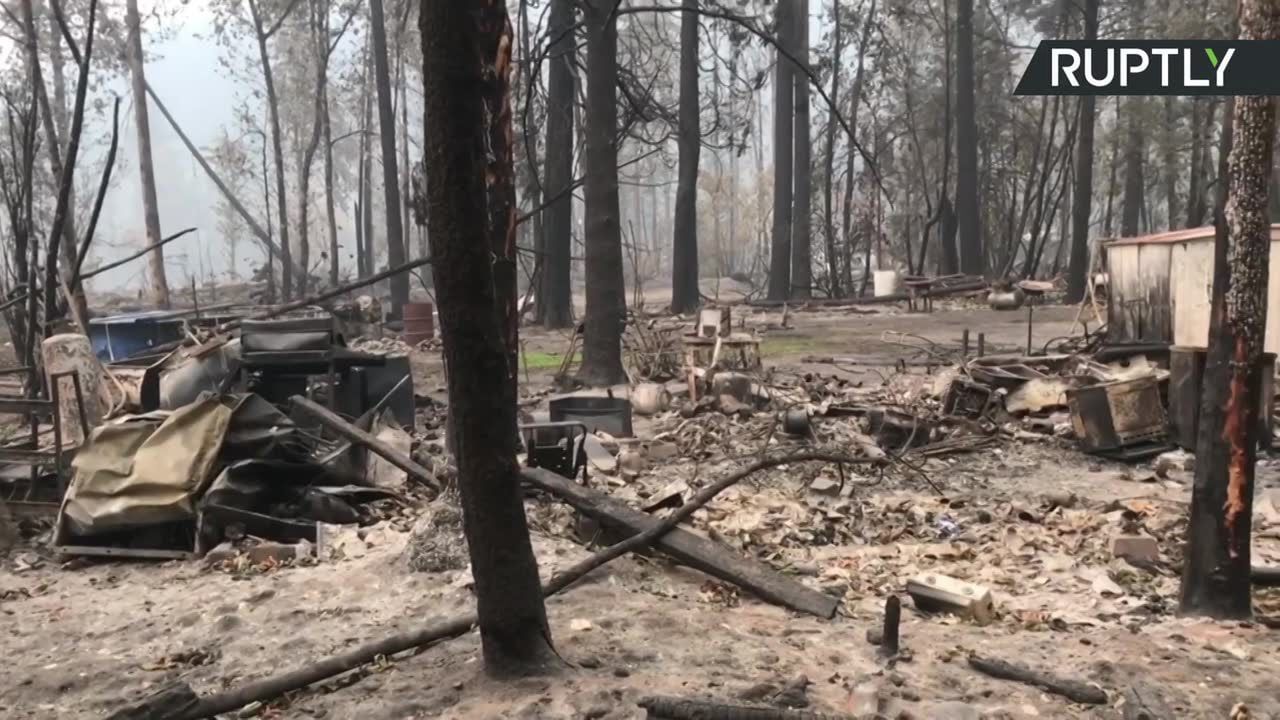 Całe miasteczko spalone w wyniku pożarów lasów w Oregonie