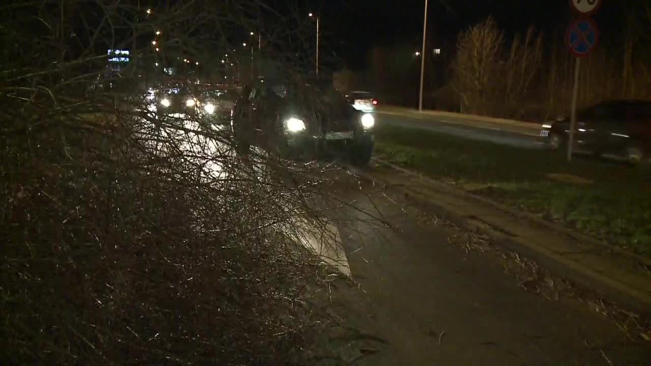 Drzewo zwaliło się na samochód, którym jechała 5-osobowa rodzina. Silny wiatr na południu Polski