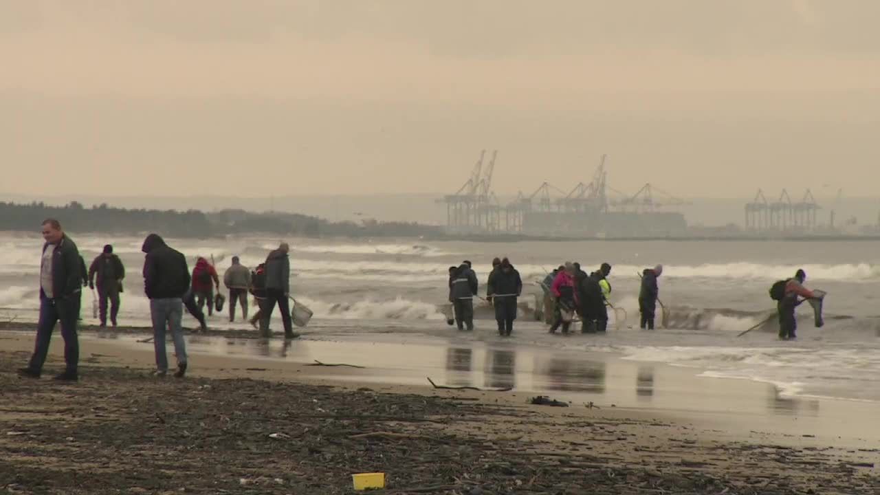 Po sztormie wyruszyli na plaże szukać bursztynu