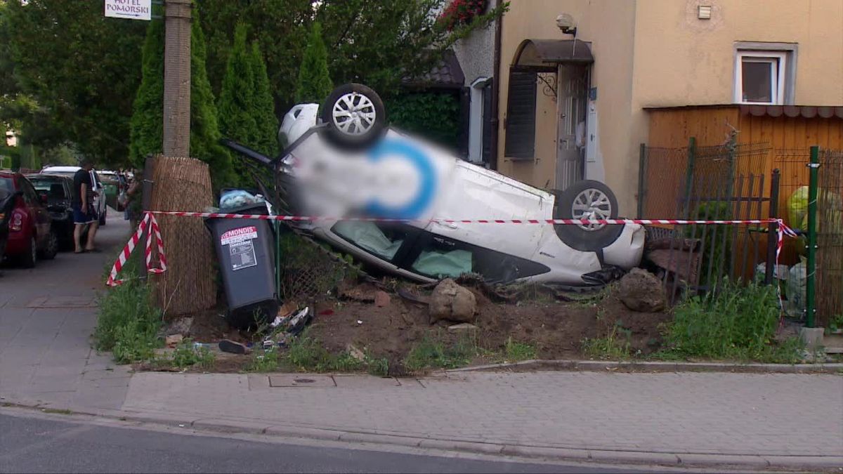 zdjęcie