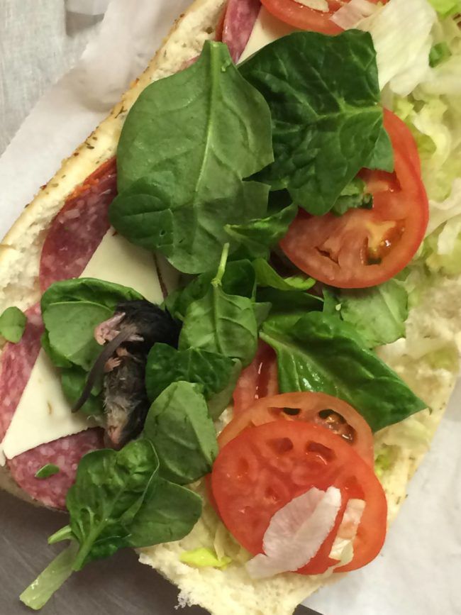 10 najobrzydliwszych rzeczy, które ludzie znaleźli w swoim jedzeniu z popularnych fastfood