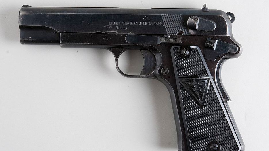 VIS 100 w polskim wojsku