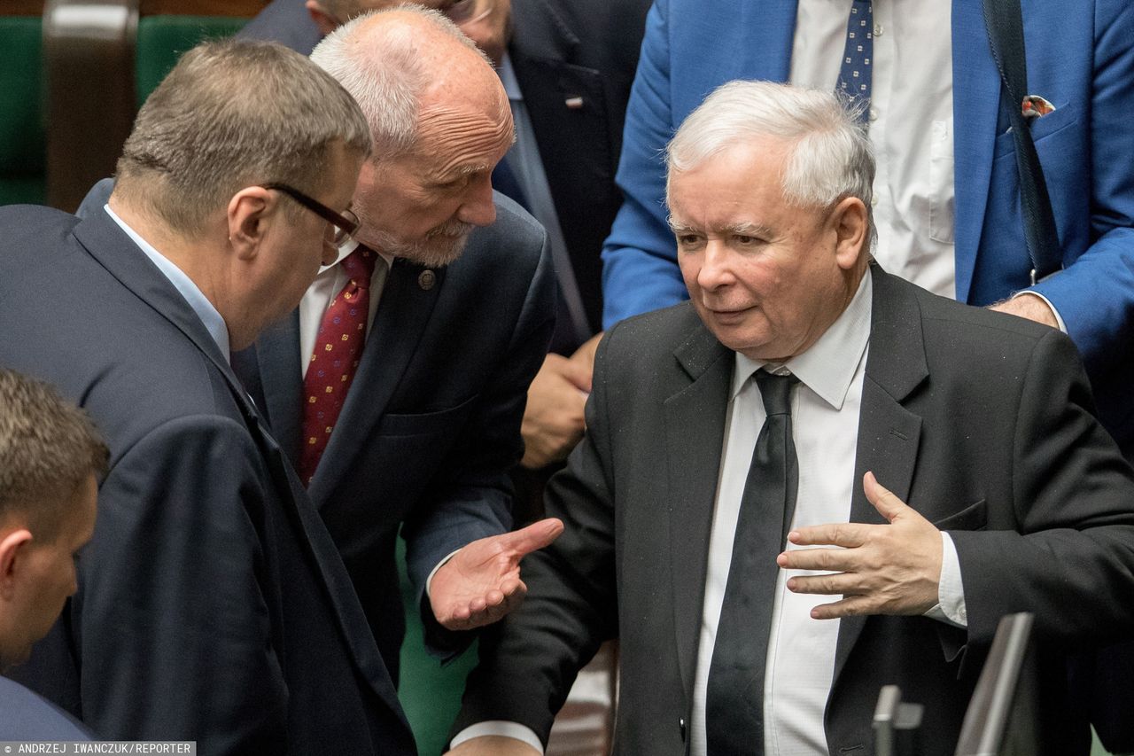 Najnowszy sondaż. Zobacz poparcie partii miesiąc po wyborach 