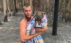 Australia. 22-latek bohaterem. Ratuje koale z płonącego lasu