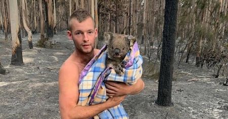 Australia. 22-latek bohaterem. Ratuje koale z płonącego lasu