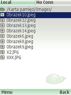 Obraz