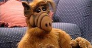 "Alf": uwielbiany serial pogrążył obsadę. Co się stało z gwiazdami sitcomu?