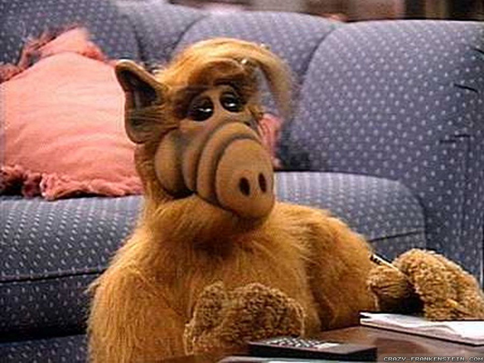 "Alf": uwielbiany serial pogrążył obsadę. Co się stało z gwiazdami sitcomu?