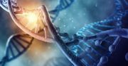 Nowy eksperyment. Naukowcy chcą połączyć DNA człowieka i owcy