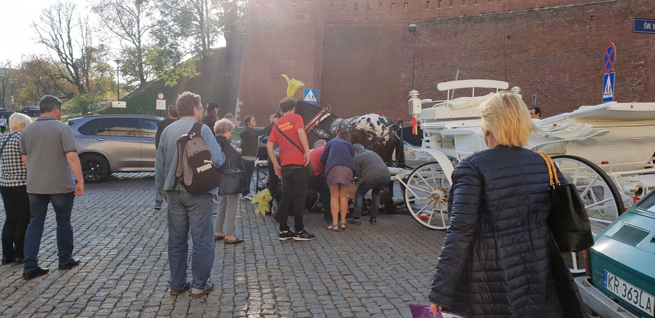 Upadek konia pod Wawelem. Dramatyczny widok