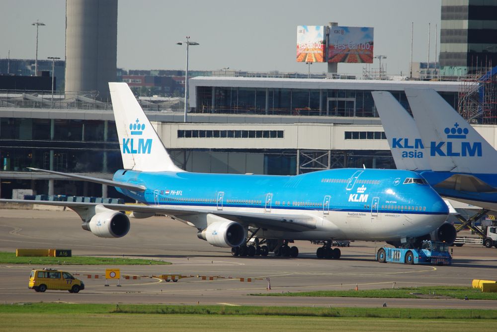 5-miesięczny pies zmarł w trakcie lotu. Podróżował z Amsterdamu do Los Angeles