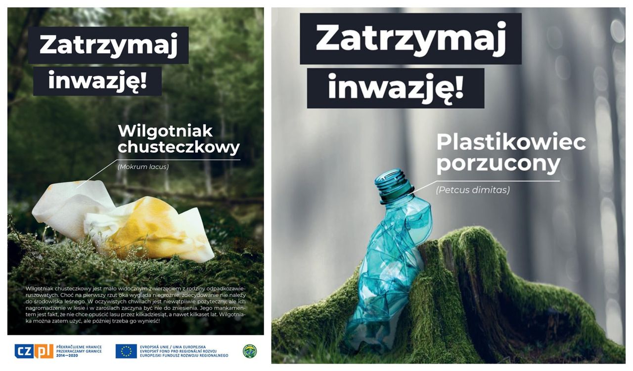 Plastikowiec porzucony w Polsce. Gatunek inwazyjny atakuje lasy