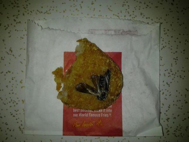 10 najobrzydliwszych rzeczy, które ludzie znaleźli w swoim jedzeniu z popularnych fastfood