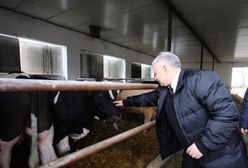 Marcin Makowiecki: Na wsi przed wyborami