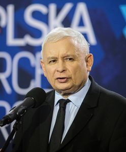 Majmurek: "Europejska kampania w polskim maglu. Dominował w niej strach" (Opinia)