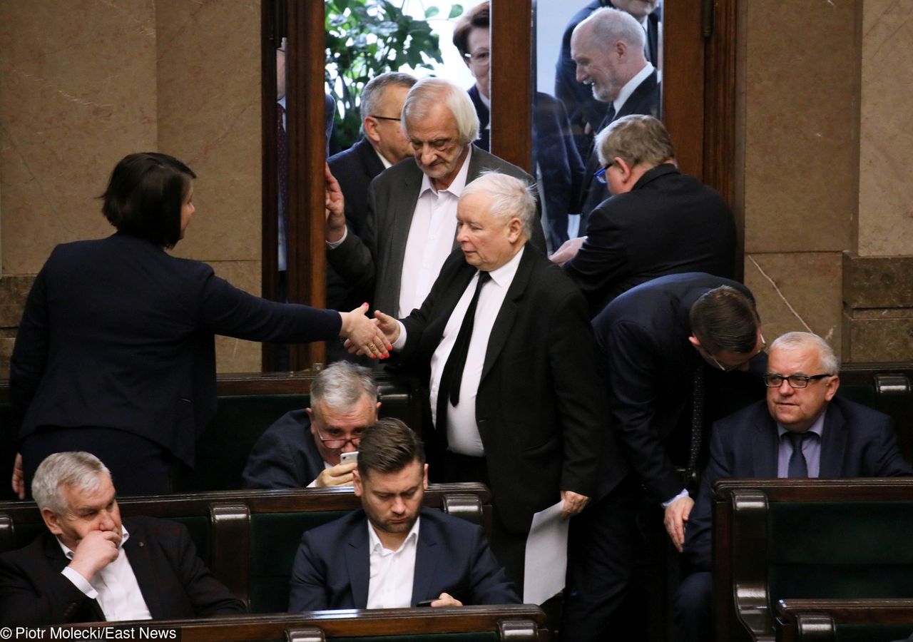 PiS triumfuje. Duża przewaga w najnowszym sondażu