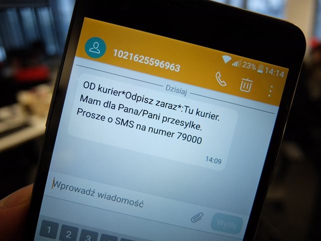 Anna Streżyńska ochroni nas przed drogimi SMS-ami. Będzie miesięczny limit na usługi premium
