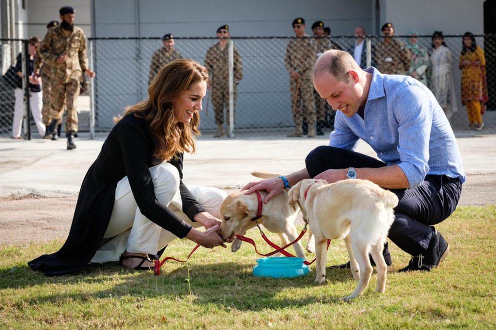 Księżna Kate i książę William podczas szkolenia psów