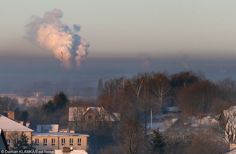 Rządowy plan walki ze smogiem. Polski Alarm Smogowy: rząd mógłby upiec dwie pieczenie na jednym ogniu