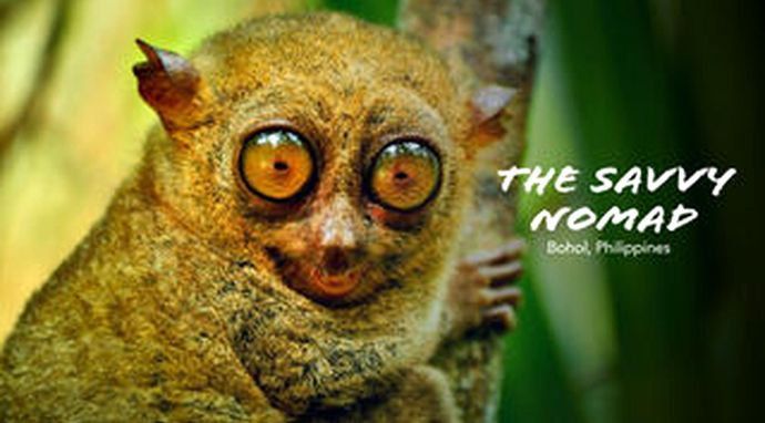 The Savvy Nomad Philippines