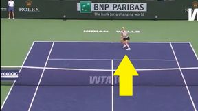 Ta akcja była ozdobą meczu Igi Świątek [WIDEO]