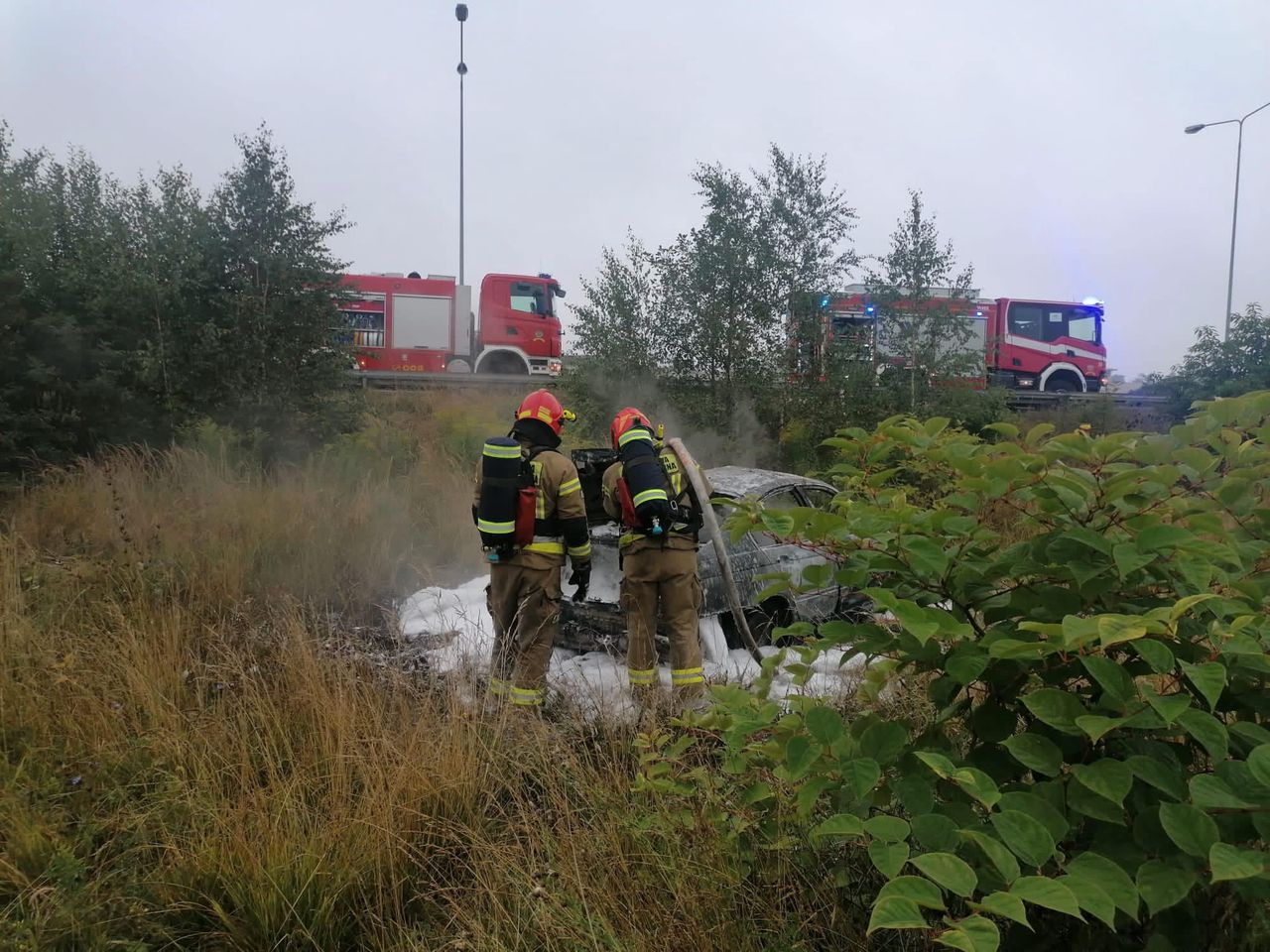 Tragedia na DK81. Zakleszczony kierowca spłonął w pojeździe