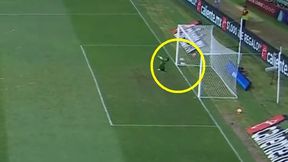 #dziejesiewsporcie: Ale trafił! Komentator oszalał po tym golu