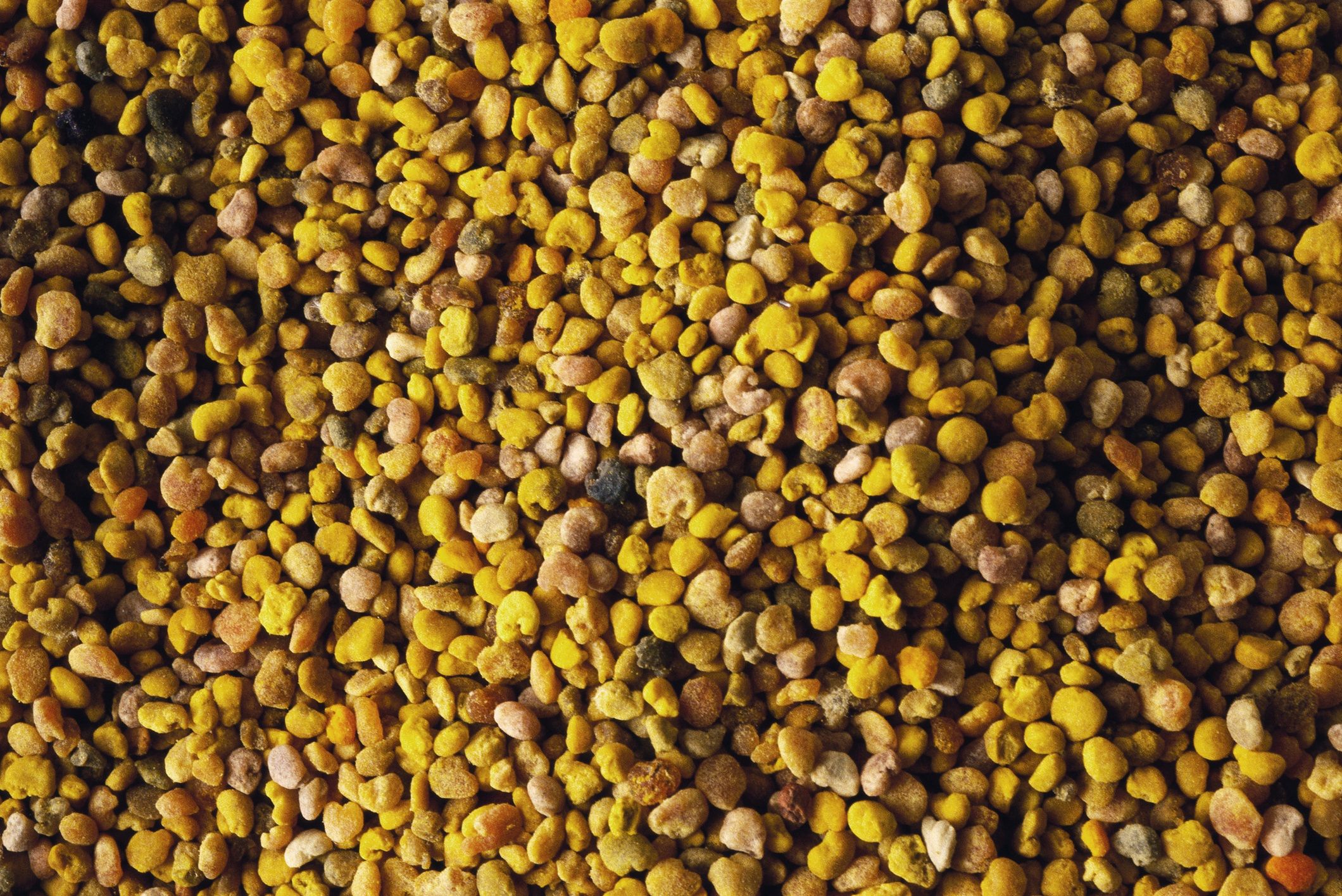 Kozieradka jest jednym ze składników curry