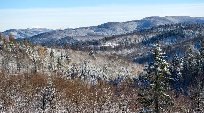 Przystanek Bieszczady