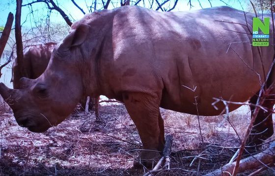 Viaplay bez kanałów Viasatu. „Nie ma planów usunięcia ich z rynku”