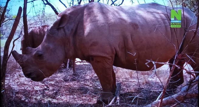 Viaplay bez kanałów Viasatu. „Nie ma planów usunięcia ich z rynku”