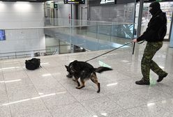 Handlarz ludźmi zatrzymany w Polsce. Będzie ekstradycja