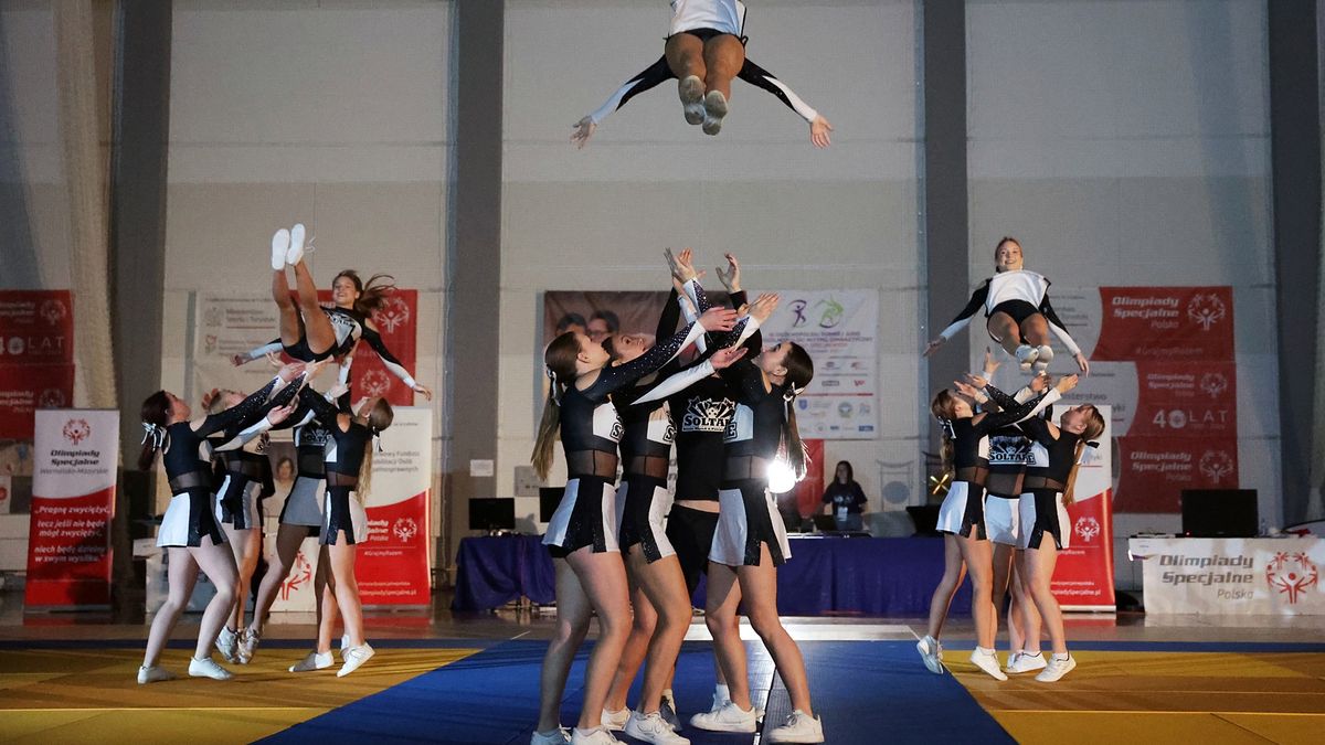 Materiały prasowe / materiały partnera