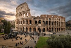 Włochy. Ropuchy i jeże pod nieobecność turystów rządzą w Koloseum