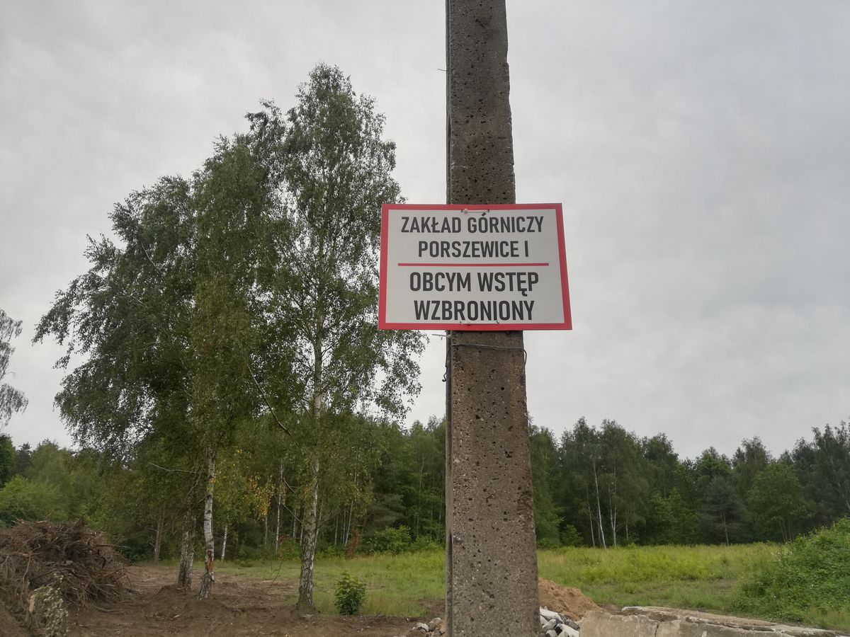 Porszewice koło Łodzi. Na terenach archidiecezji łódzkiej powstaje kopalnia piasku. Niedawno był tu las. 