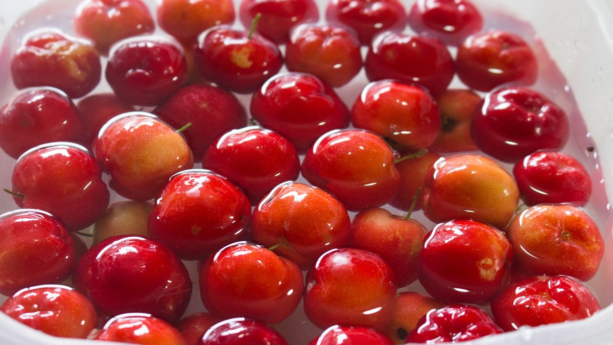 Acerola to bogactwo witaminy C