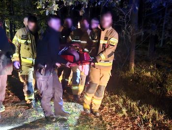 Otwock: Wyszedł na grzyby i zaginął. Policjanci szukali go całą noc
