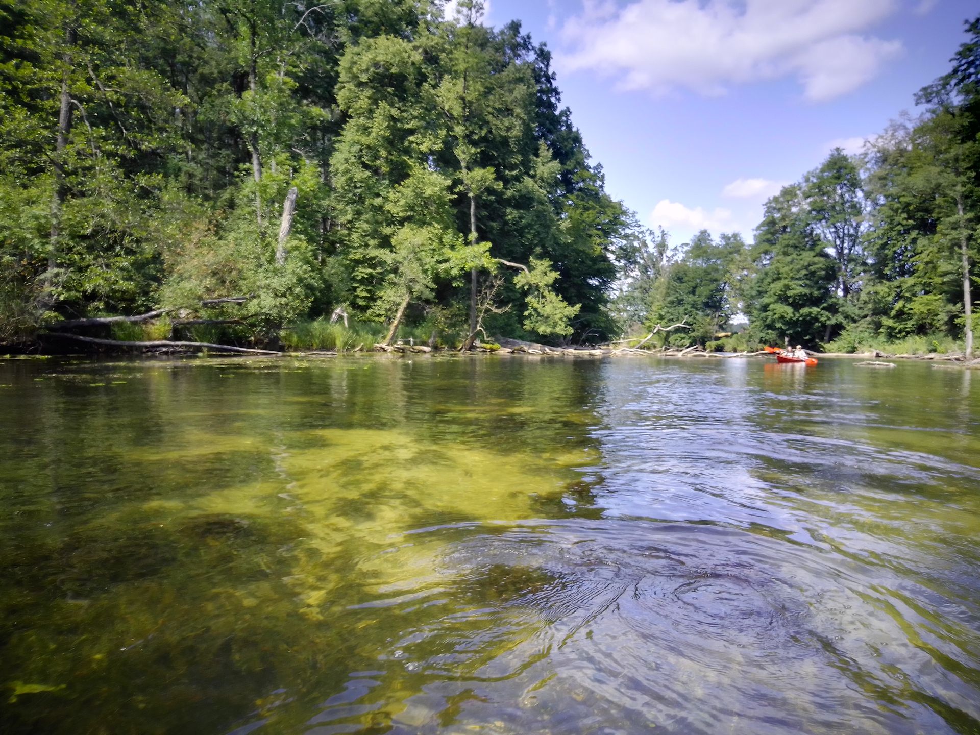 MyPhone Pocket Pro. Genialny smartfon za 500 zł, który zaskoczył mnie... wszystkim 14