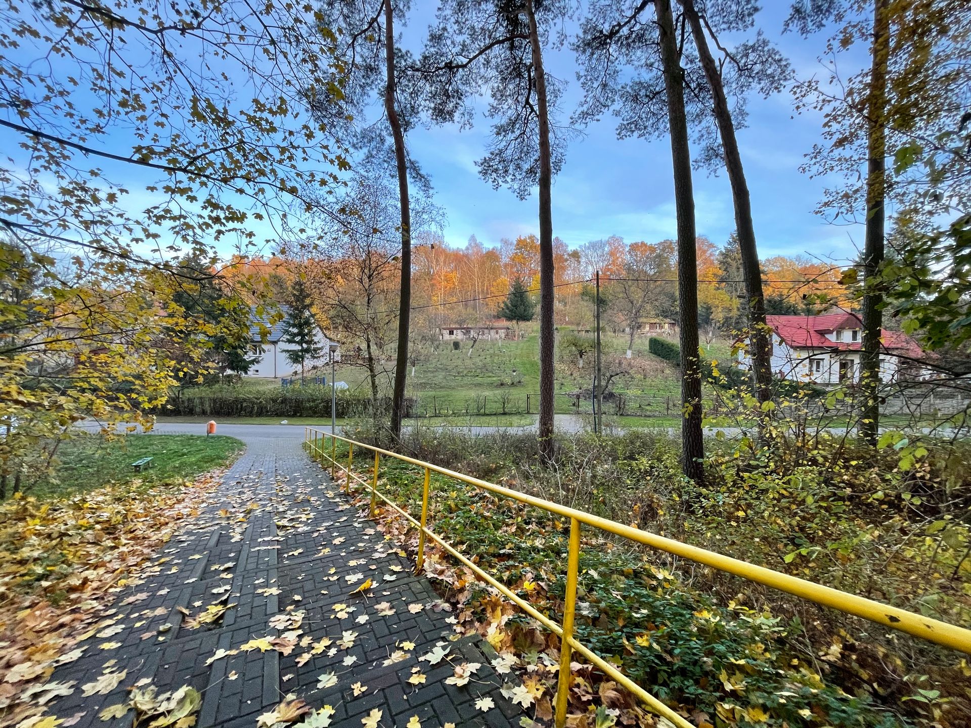 Dobry iPhone w "dobrej" cenie. iPhone 12: test 24