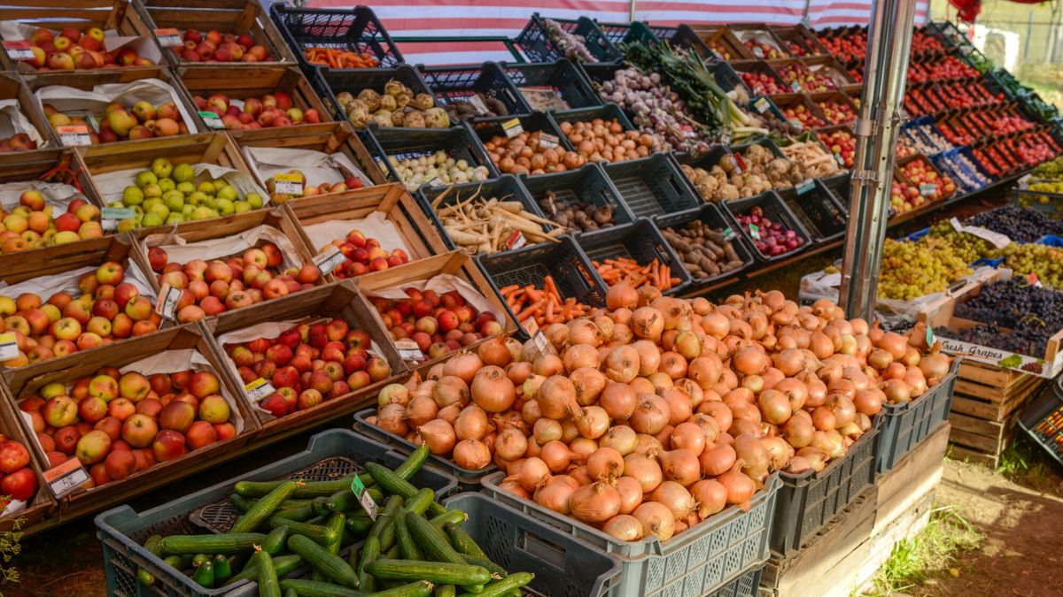 Reporter archiwum 2025 10
31.10.2025 Lodz. Wzrost cen warzyw jest spowodowany m.in. zwiekszonymi kosztami energii i transportu, drozszymi nawozami, zaburzeniami na rynkach swiatowych. N/z widzewski warzywniak kotry stara sie konkurowac z dyskontami spozywczymi jakoscia produktow i nizszymi cenami. N/z ogorki, cebula, jablka Fot. Piotr Kamionka/REPORTER
Piotr Kamionka/REPORTER