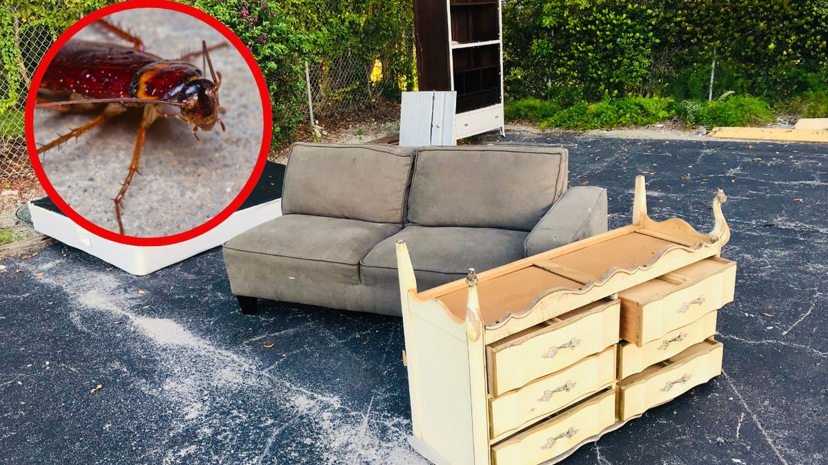 Na co uważać przy kupnie używanych mebli?