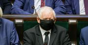 Najnowszy sondaż WP. Większe poparcie dla PiS, KO zaliczyła spadek