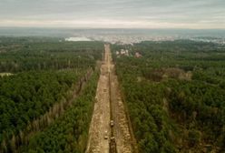 Śląskie. Nowe drzewa, budki dla ptaków i zbiorniki dla płazów w ramach budowy linii kolejowej