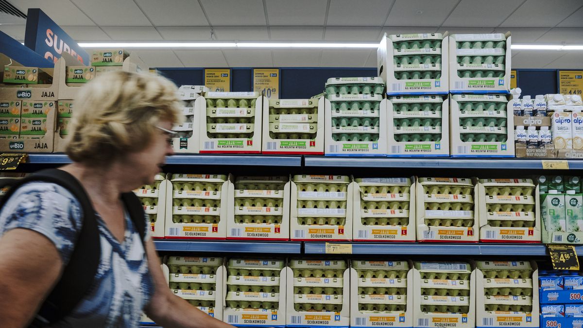 Jajka drożeją i znikają z półek. Pokazano dane