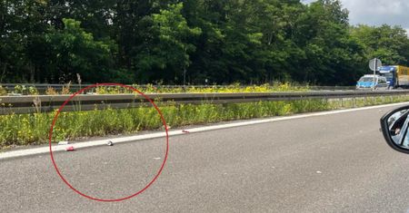 Polak wjechał do Niemiec zniesmaczony. "Wygląda to strasznie"