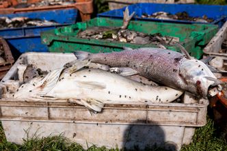 Kontrola Wód Polskich w KGHM. Chodzi o zrzut wody do Odry